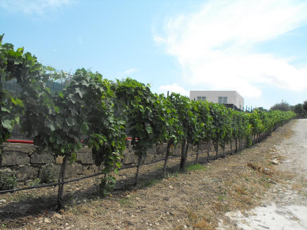 Agriturismoeloropizzuta Lido di Noto المظهر الخارجي الصورة